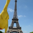 Ptasia grypa zaatakowała Paryż!Booojcie sie żabojady!