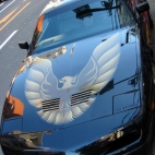 Firebird