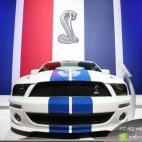 Ford Mustang Cobra tapety