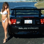tapety Ford Mustang Cobra R