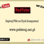 Pobieraj Pliki z serwisów Hostujących(www.pobieraj.net.pl)