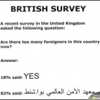 Czy w Wielkiej Brytanii jest za dużo cudzoziemców?