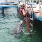Niegrzeczny delfin