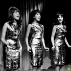 The Ronettes galeria