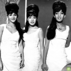 koncert The Ronettes