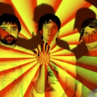 tapety Animal Collective