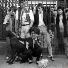 zespół X-Ray Spex