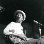 tapety Hound Dog Taylor; the House Rockers