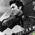 koncert Elvis Presley