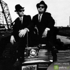 galeria The Blues Brothers