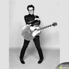 galeria Elvis Costello