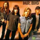 Mr. Big galeria