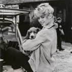 Brigitte Bardot zdjęcia