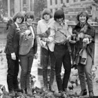 The Byrds zdjęcia