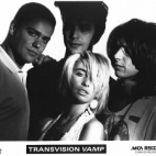 Transvision Vamp zespół