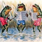 Box Of Frogs zespół