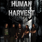 zespół King Harvest