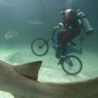 Św.Mikołaj pod wodą..na rowerze...WTF?!