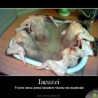 Kurczaki w Jacuzzi