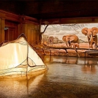 muzealne safari