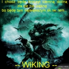 wiking-q