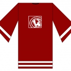 Koszula hokejowa b3