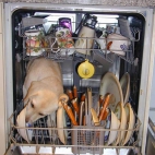 uniwersalna zmywarka - dishwasher