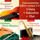 Instrumentalne TRIO - muzyka relaksacyjna VTM Dr.Arnd Stein