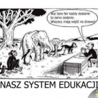 Nasz system edukacji