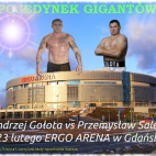 Andrzej Gołota vs Przemysław Saleta-23 luty Ergo Arena Gdańsk Polsat Boxing Night