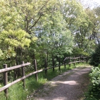 Park Moczydło Warszawa 2