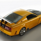 Ford Mustang GT - R 2004