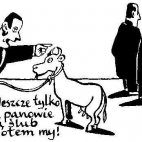 homoseksualizm-zwiazki partnerskie-zoofilia