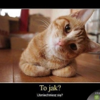 To jak?