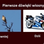 Pierwsze dźwięki wiosny