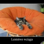 Lenistwo wciąga