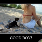 Good boy