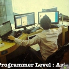 Programista. Level: Asian