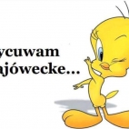 Wycuwam majóweckę