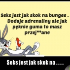 Sex jest jak...