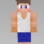 skin minecraft