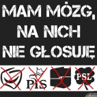 Mam mózg, na nich NIE głosuję! - PO, PiS, SLD, PSL