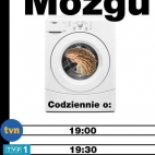 TVN, TVP & Polsat - Kłamstwo, manipulacja, obłuda, fałsz, socjotechnika, propaganda ...