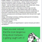 Janusz Korwin-Mikke - Śmierć nastolatka w Legionowie (16.03.2015)