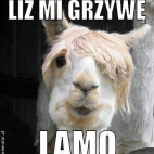 lama lize