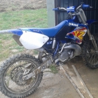 yz 250