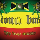 STONA BMS - Logo