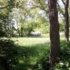 Park Moczydło Warszawa 3