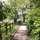 Park Moczydło Warszawa 4