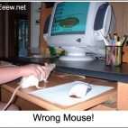 Nie ta myszka